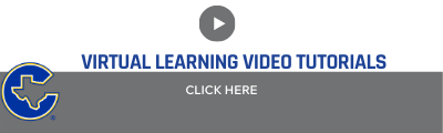 Virtual Learning Video Tutorials  
